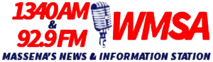 WMSA logo