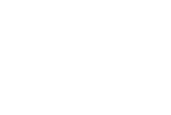 WETA VivaLaVoce logo