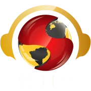 Sangeet Radio FM 95.1 AM 1460 Houston, TX, US logo