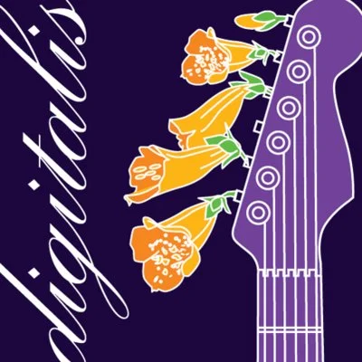 SomaFM Digitalis (256k MP3) logo