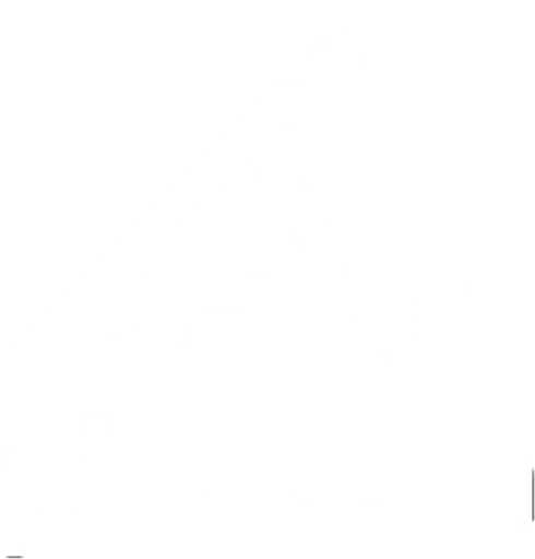 Pizza FM logo